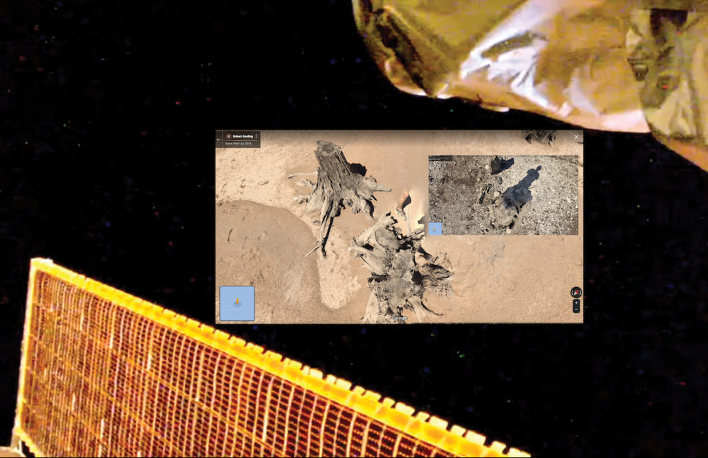 Composite photograph. Fragments of international space station with inset images of tree trunks in sand